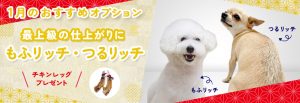 2023年1月トリミングおすすめオプション