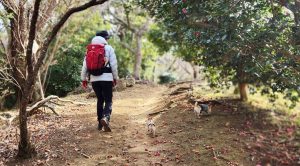 もふようちえん登山部の様子5