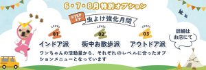 トリミング6月から8月のおすすめオプション