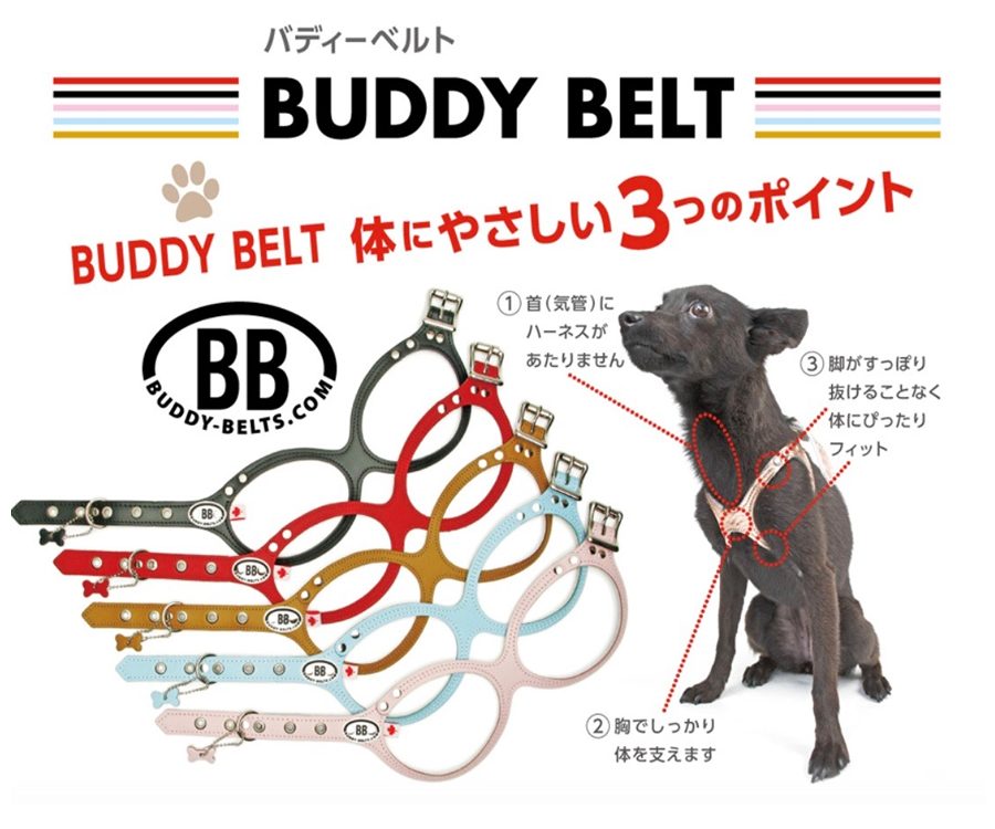 BUDDY BELT(バディーベルト)